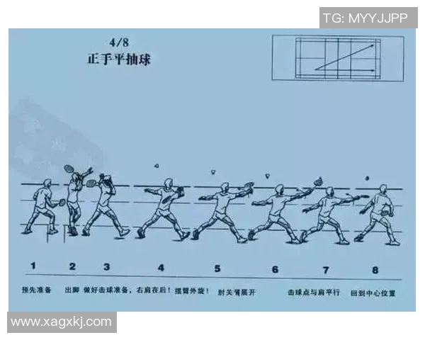 南京羽毛球队区域防守战术解析与实战应用探讨